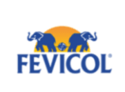 Fevicol